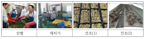 고사리 재배, 데치기, 건조 등 상품화 공정