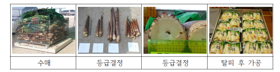 죽순 수매, 등급구분, 가공 등 상품화 공정