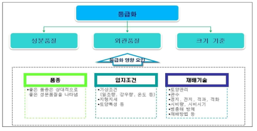 등급화에 영향을 미치는 요인