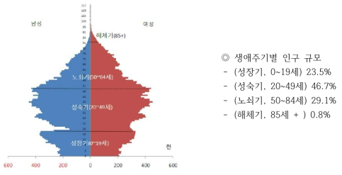 개인 생애주기 피라미드 출처 : 인구추택총조사(2010년) 10% 표본자료