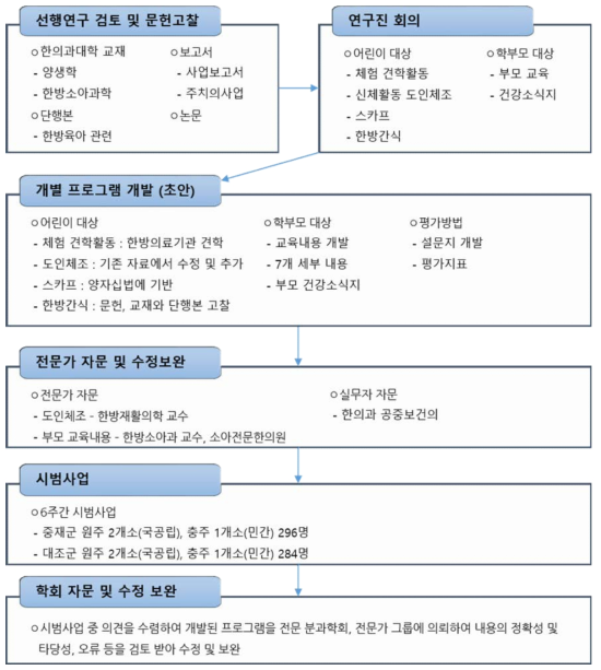 영유아대상 한의약 건강증진 프로그램 개발 과정