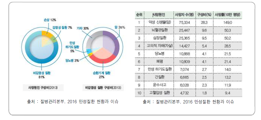 국의 만성질환 현황