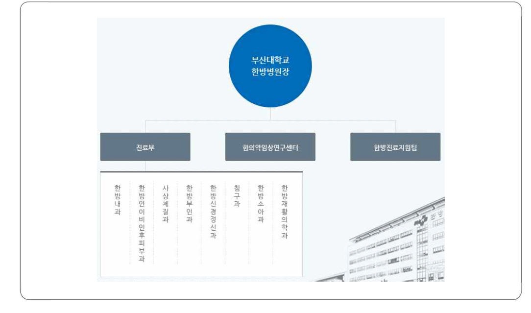 부산대학교 한방병원 조직도