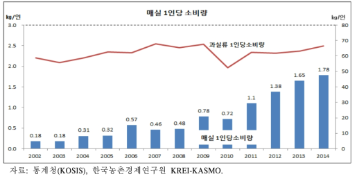 매실 1인당 소비량 추이