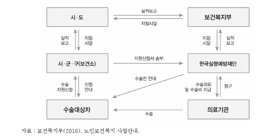 노인 개안수술 추진체계