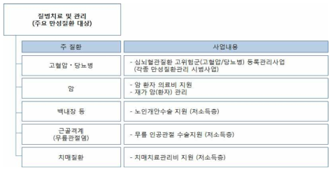 노인의 주 질환대상의 치료관리체계 설계 검토