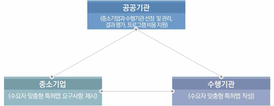 프로그램 추진체계 (수요자 맞춤형 특허맵)