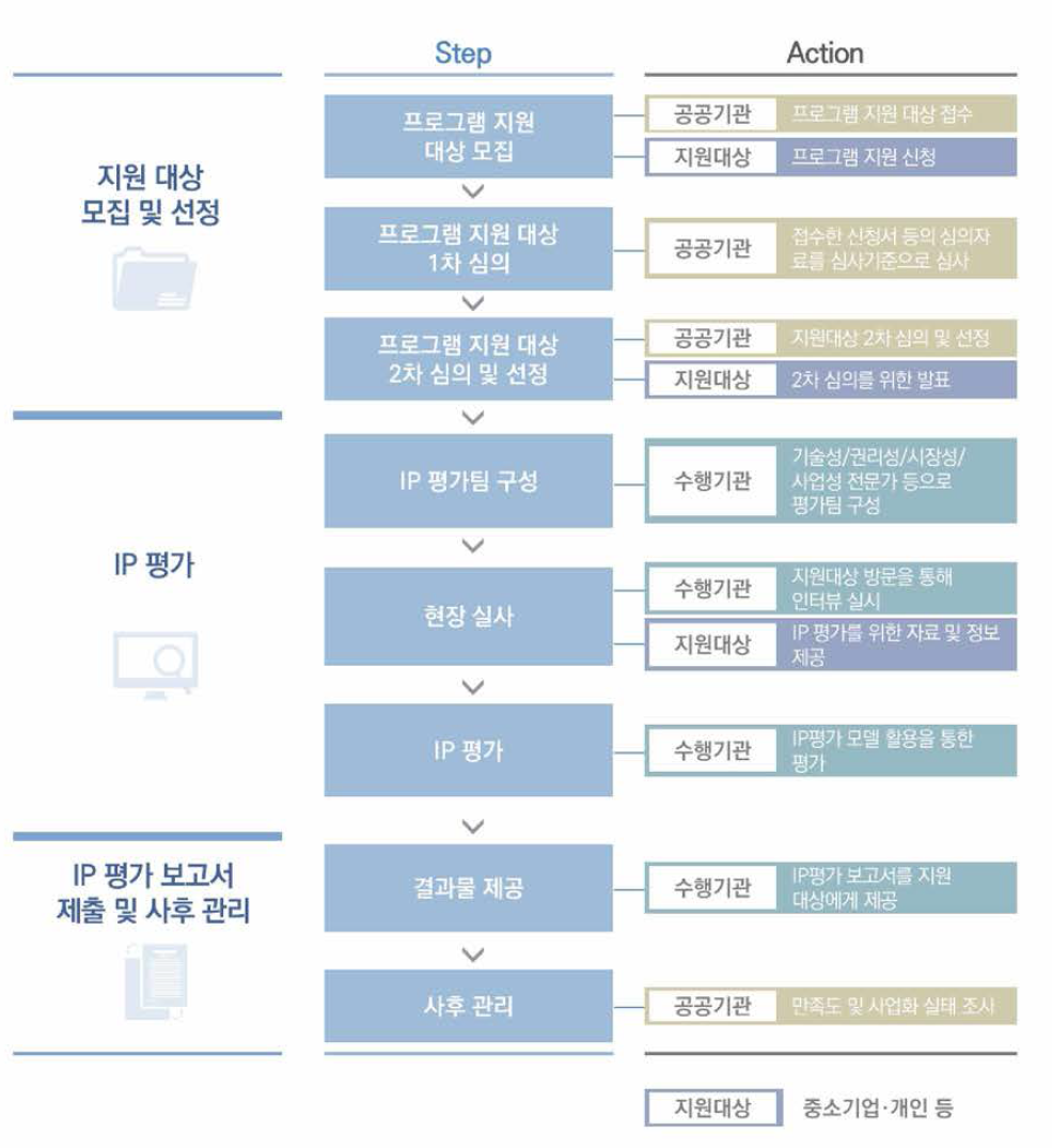 프로그램 진행 프로세스 (IP 평가 지원)