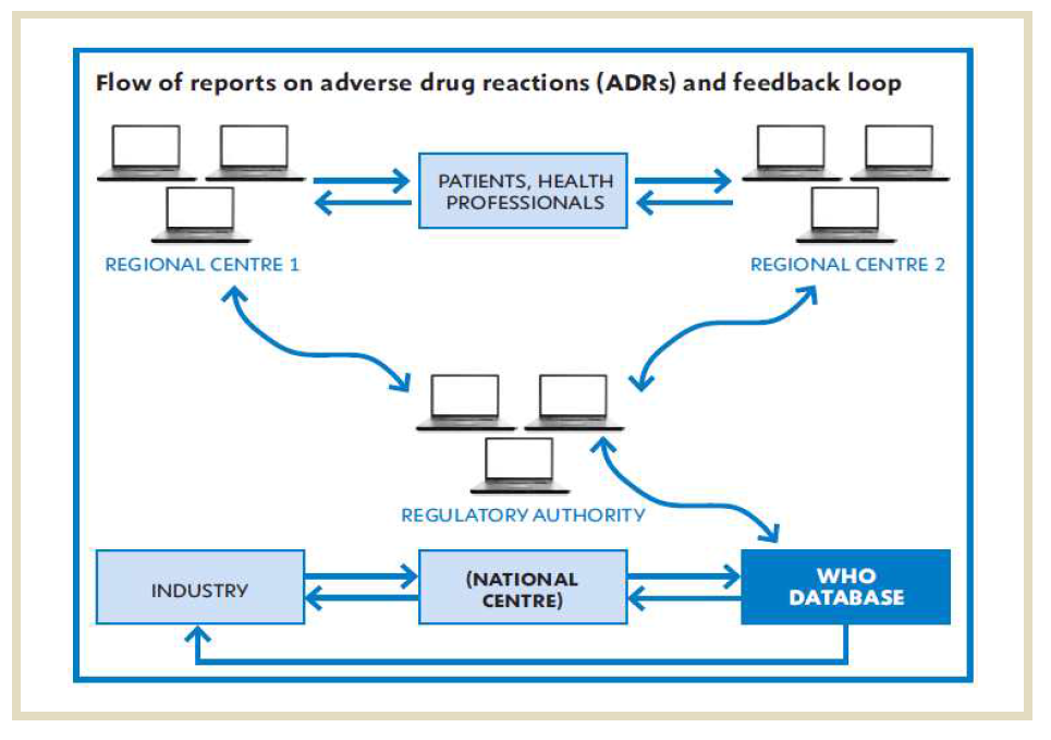Flow of reports on adverse drug reactions and feedback loop