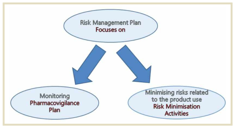 RMP can be classified into monitoring (PV plan) and minimizing risks (risk minimization activities)