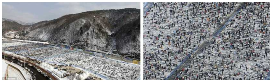 한천산천어축제의 모습 [출처] 로이터, http://www.reuters.com