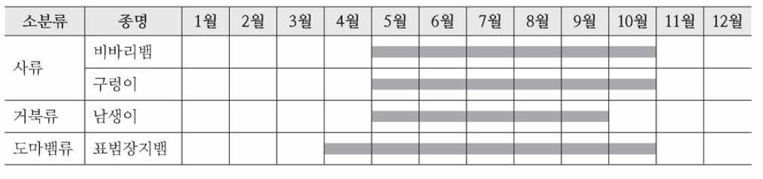 종별 출현 시기