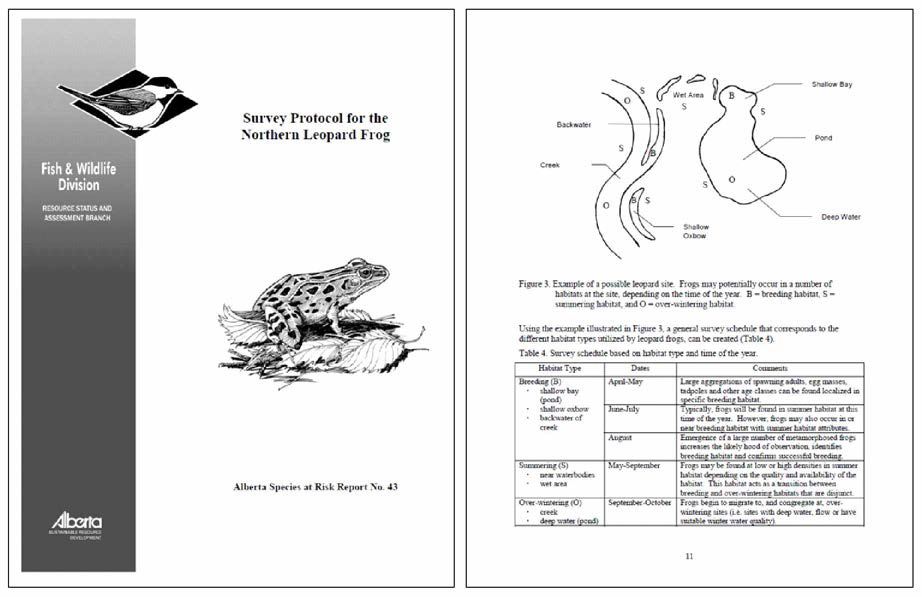캐나다 Alberta주 종별 조사지침서(예시. Northern Leopard Frog)