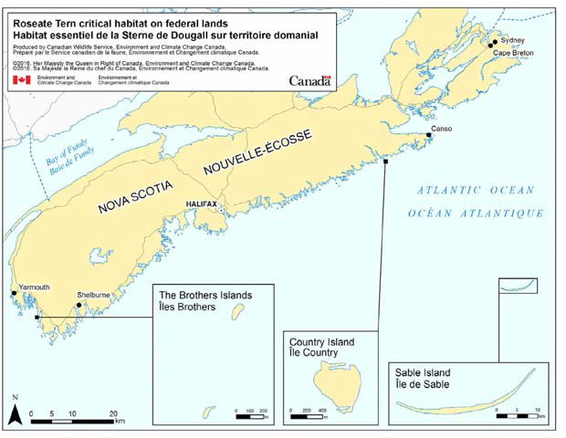 캐나다 Critical Habitat 지도(예시. Roseate Tern)
