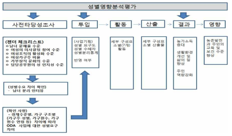 성별영향분석평가 논리모형 개발