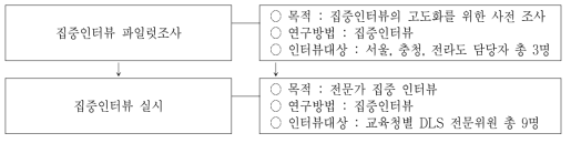 DLS 문제점 조사 방법