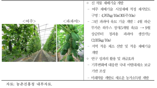 국내 열대/아열대 채소 도입 및 재배기술 개발
