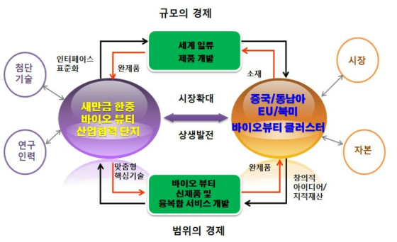 중국 등 해외 클러스터와 연계 협력 방안