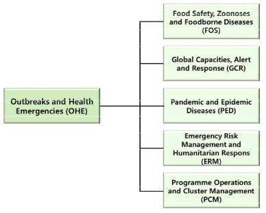 Outbreaks and Health Emergencies (OHE)의 조직도