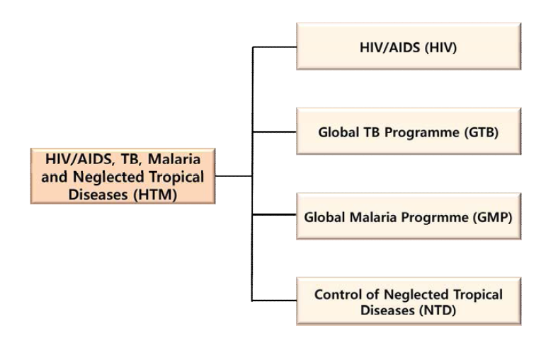 HIV/AIDS, TB, Malaria and Neglected Tropical Diseases (HTM)의 조직도