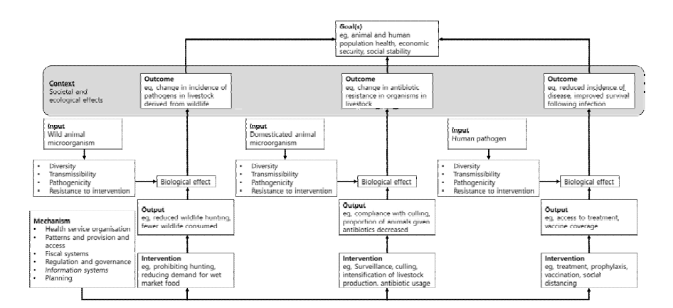 Schematic representation of a framework for research to inform one-healthpolicy