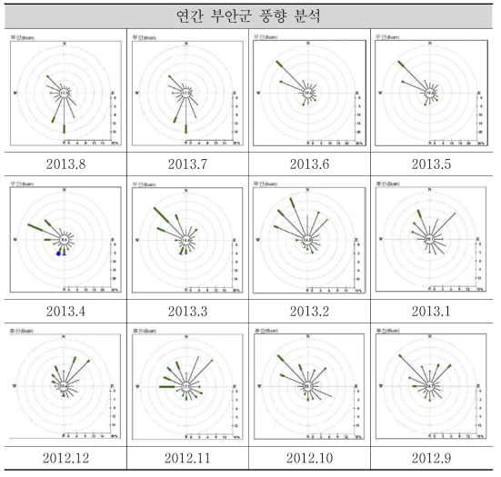 부안지역 2012-2013년 월별 바람장미(windrose)형태