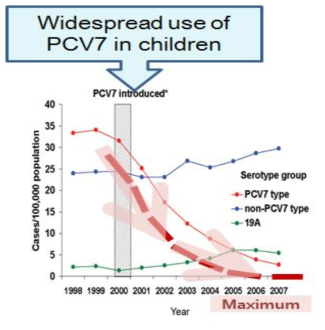 단백결합 폐렴구균백신(PCV7) 도입에 따른 간접면역효과(herd effect)