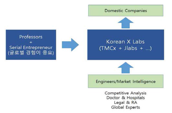 한국형 X Lab 구축방안