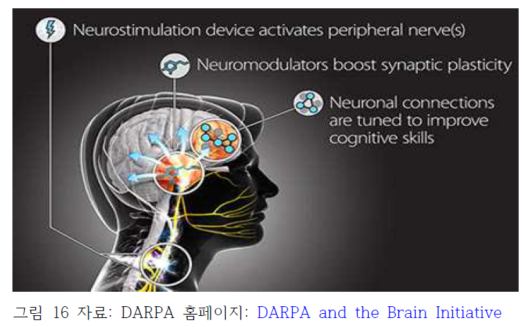 Targeted Neuroplasticity Training (TNT) 프로그램