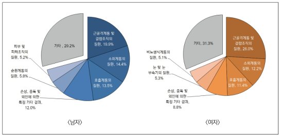 외래환자의 다빈도 상병