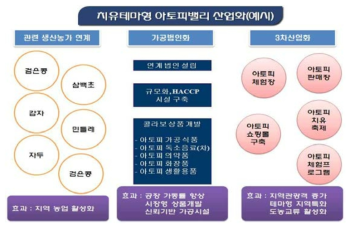 치유테마형 아토피밸리 산업화(신규사업 예시)