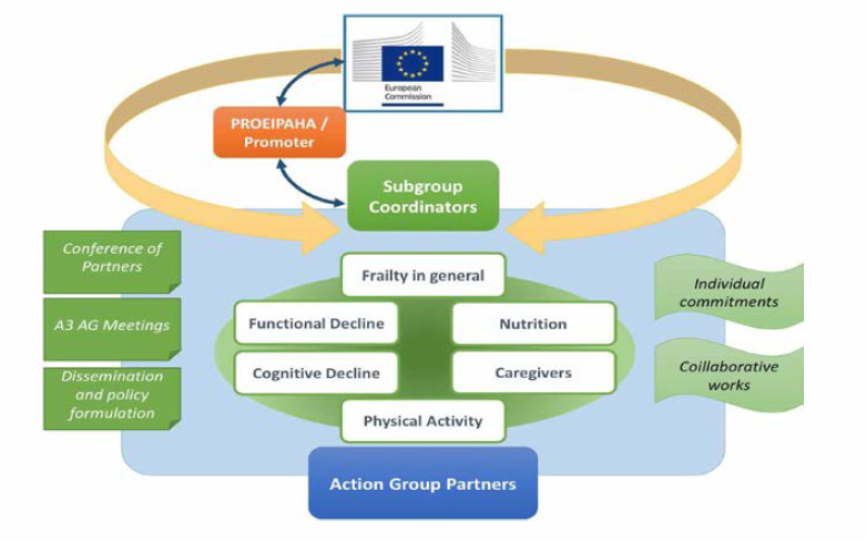 Governance Structure of the Action Group 3