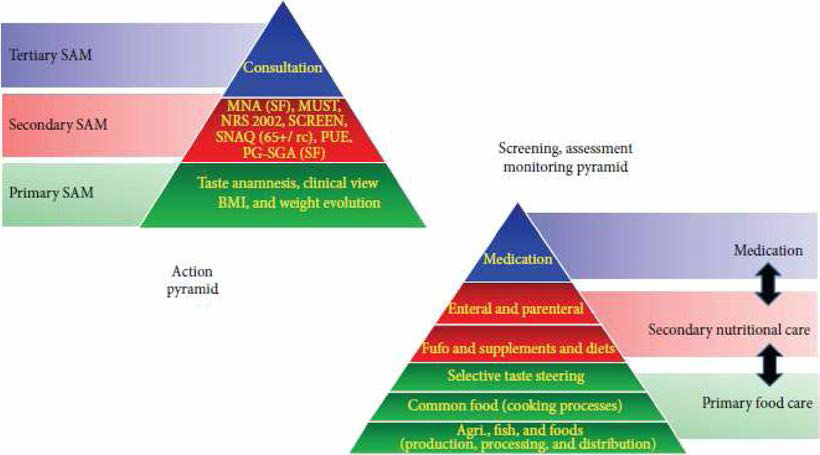 SAM-AP model： “NutriLive” approach represented as a modified food pyramid