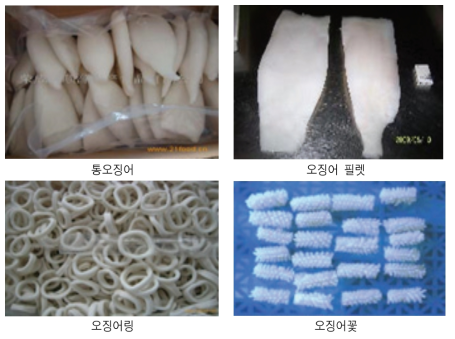 중국 오징어 냉동제품 가공 형태