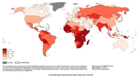 GLOBOCAN 2012: Estimated Cancer Incidence, Mortality and Prevalence Worldwide in 2012: IARC; 2014