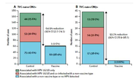Number of cases of CIN2+ and CIN3+ associated with vaccine and non-vaccine HPV types end of study analysis [출처: Lehtinen M, Paavonen J, Wheeler CM, Jaisamrarn U, Garland SM, Castellsague X et al. Lancet Oncol 2012 Jan;13(1):89–99]