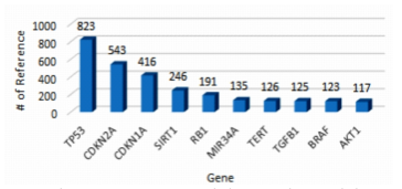 Senescence 관련 주요 연구 유전자