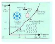 동결건조의 원리