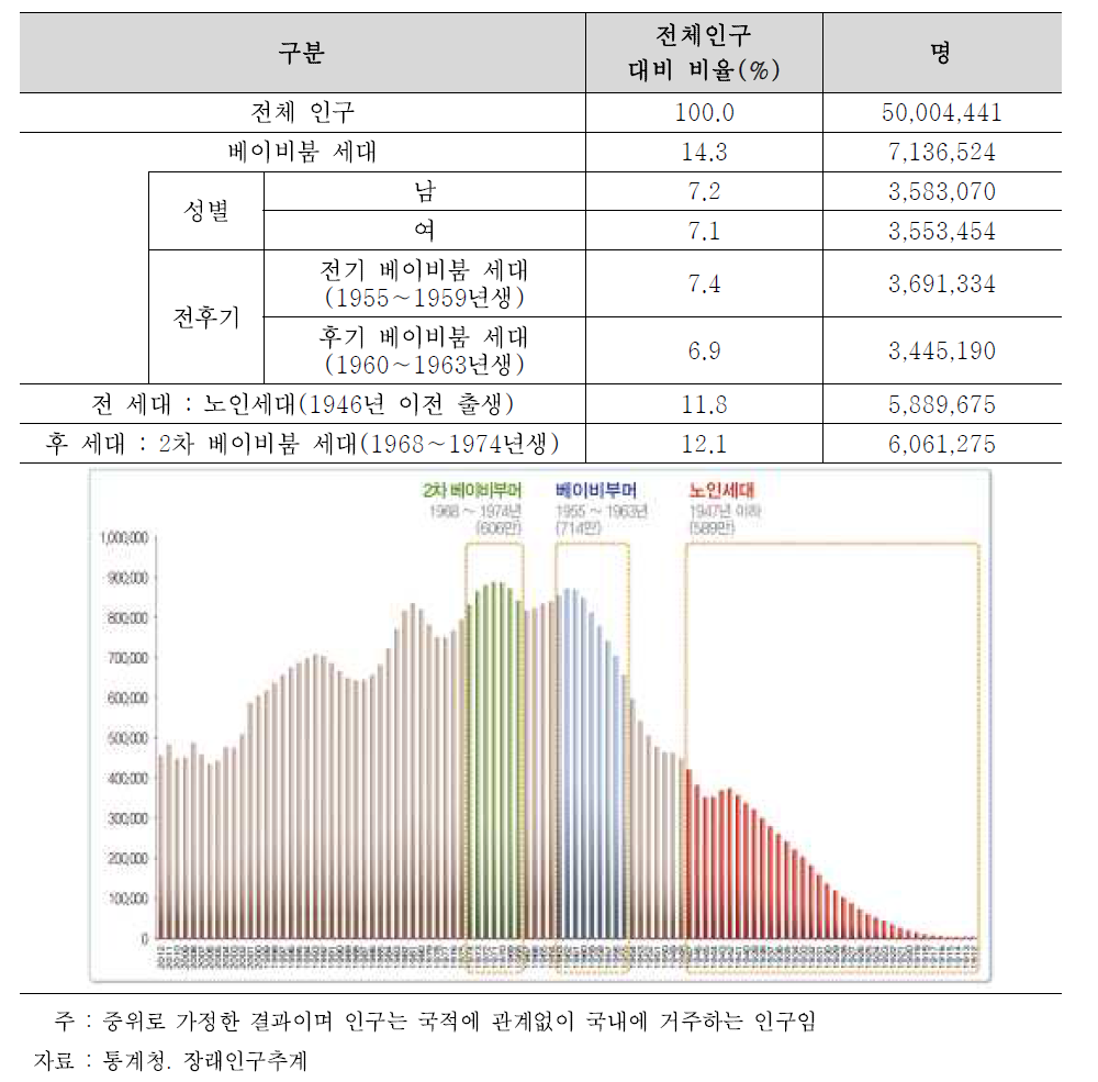 베이비붐 세대 인구 구조