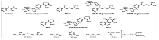 Chemical structures of the tobacco carcinogen and toxicant biomarkers