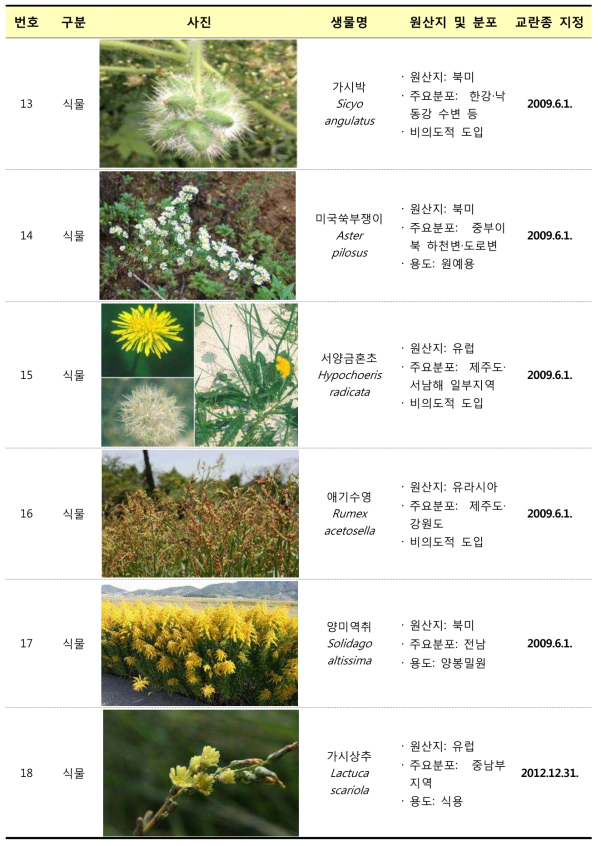 환경부 지정 생태계교란생물 현황 (계속)