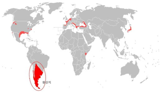 뉴트리아의 원산지 및 세계 서식 지역분포 (그림출처: 위키피디아)