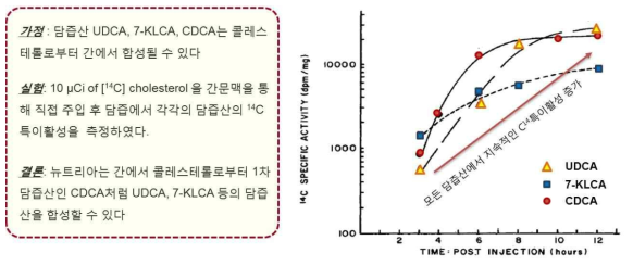 뉴트리아의 담즙산 대사관련 실험. 뉴트리아는 사람에서와 달리 콜레스테롤을 간문맥을 통해 주입했을 때, 그 콜레스테롤로부터 시간이 경과할수록 UDCA, 7-KLCA 등도 CDCA와 같이 담즙산에서 지속적으로 증가된 특이활성을 보인다는 결과를 통해 간에서 이들 담즙산도 콜레스테롤로부터 합성될 수 있음을 밝혔다