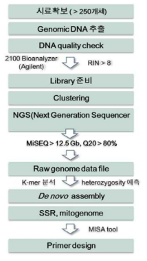 새로운 microsatellite 마커 확보를 위한 NGS 유전체 분석의 work-flow를 나타내는 모식도