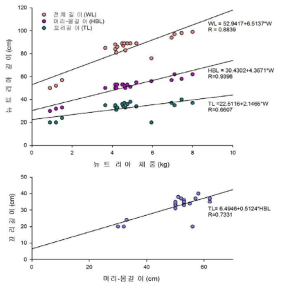 뉴트리아의 몸의 각 부위의 길이(WL, HBL, TL)와 체중(W) 및 머리-몸길이(HBL)와 꼬리길이(TL)와 선형회귀분석에 의한 상관관계(R, 선형상관관계 계수)