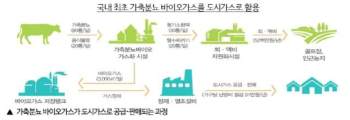 가축분뇨 바이오가스 공급.판매 과정