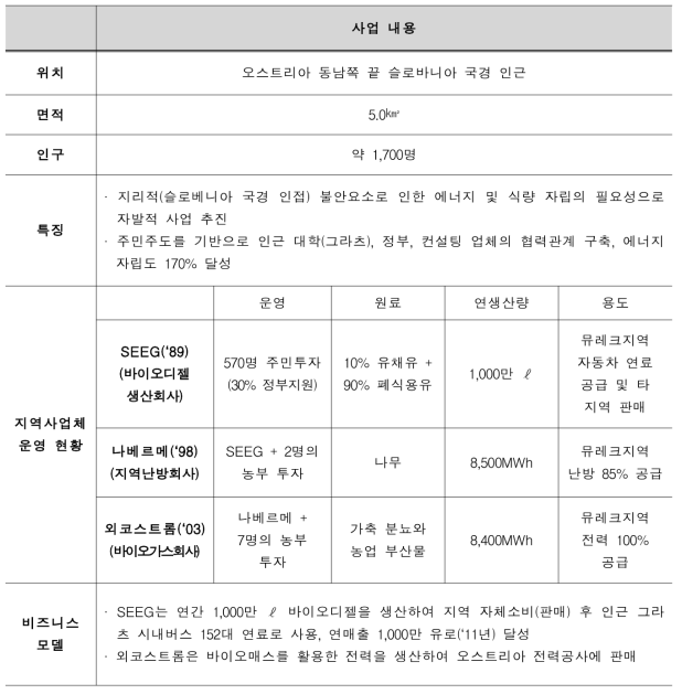 오스트리아 뮤레크 마을 사업 내용