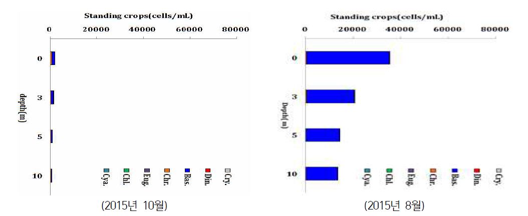 새만금호의 조사지점 MG07에서 식물플랑크톤 현존량(cells/㎖)의 수직변화 (계속)