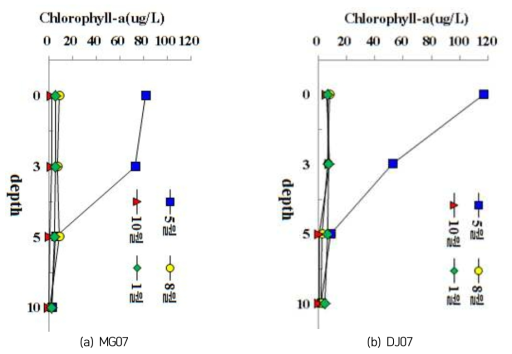 새만금의 MG07과 DJ07에서 엽록소-a 농도(㎍/ℓ)의 수직변화