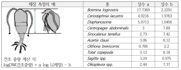 새만금호내 조사지점별 동물플랑크톤 생체량 계산법
